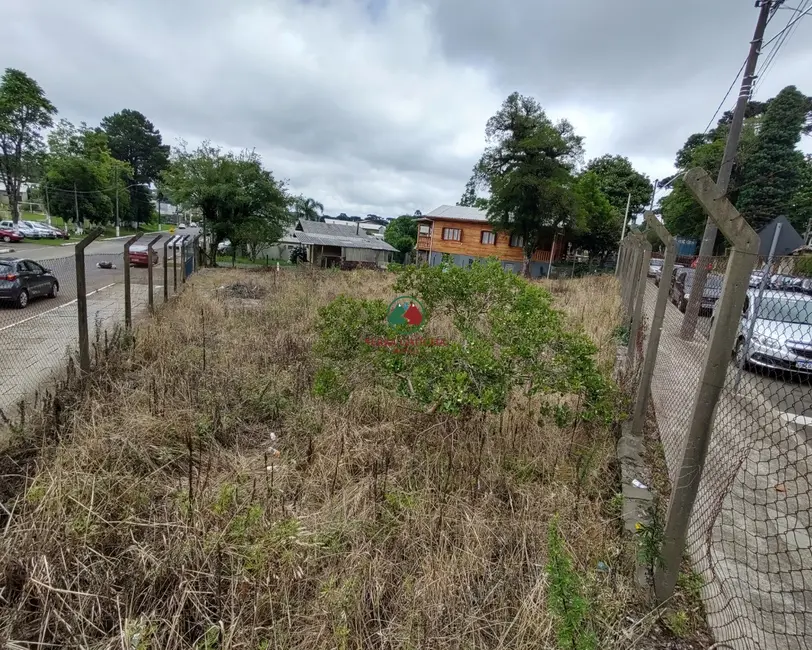 Foto 5 de Terreno / Lote à venda, 600m2 em Canela - RS