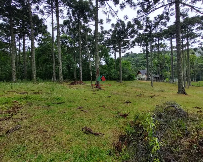 Foto 1 de Terreno / Lote à venda, 750m2 em Canela - RS