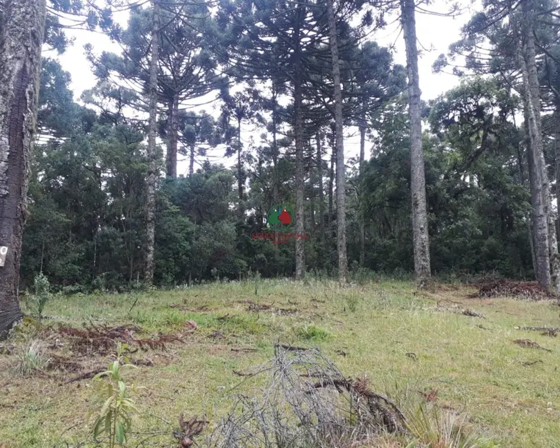 Terreno / Lote à venda, 750m2 em Canela - RS - imagem 3 Foto 3 de Terreno / Lote à venda, 750m2 em Canela - RS