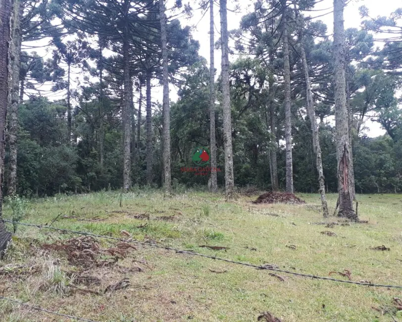 Terreno / Lote à venda, 750m2 em Canela - RS - imagem 2 Foto 2 de Terreno / Lote à venda, 750m2 em Canela - RS