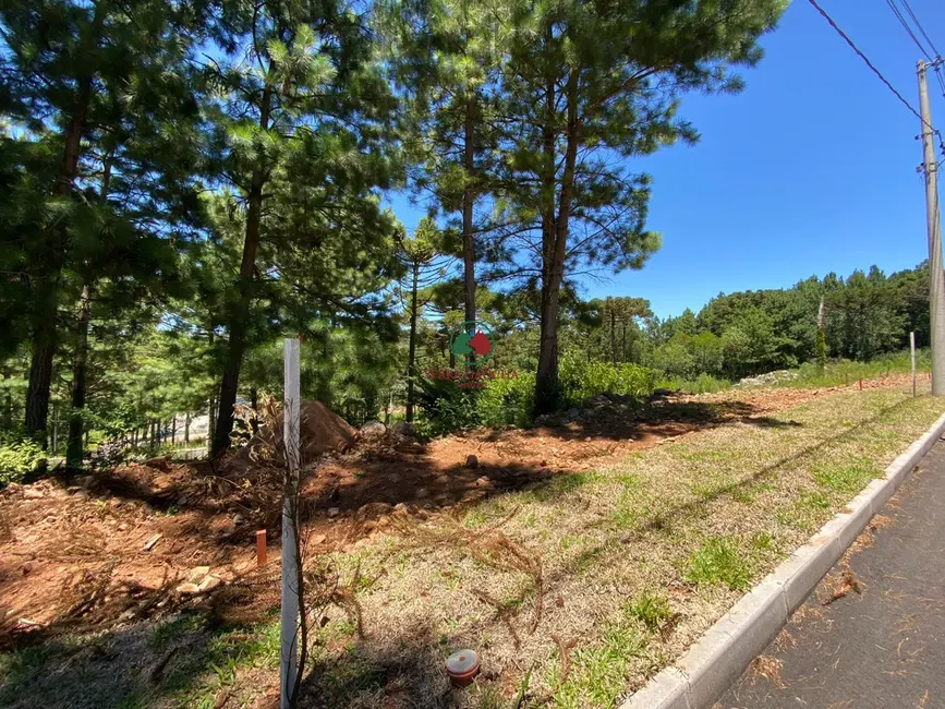 Foto 8 de Terreno / Lote à venda, 450m2 em Gramado - RS