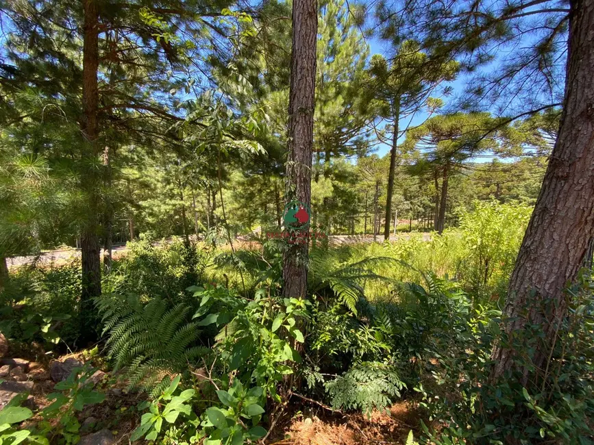 Foto 2 de Terreno / Lote à venda, 450m2 em Gramado - RS
