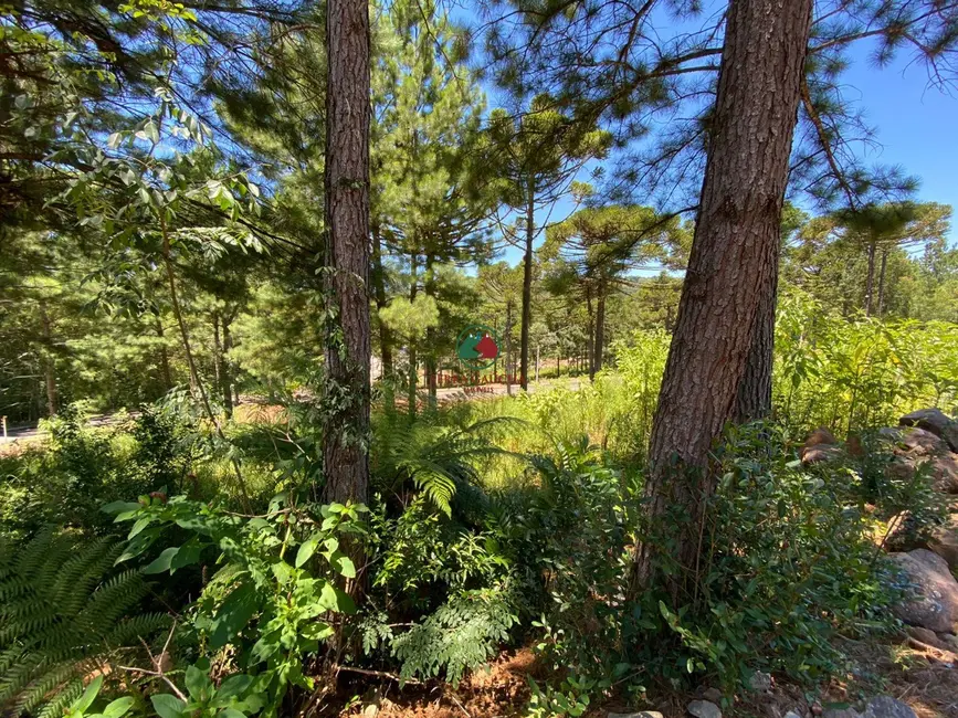 Foto 3 de Terreno / Lote à venda, 450m2 em Gramado - RS