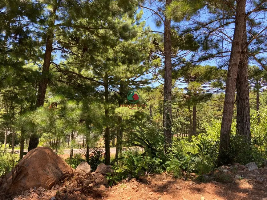 Foto 7 de Terreno / Lote à venda, 450m2 em Gramado - RS