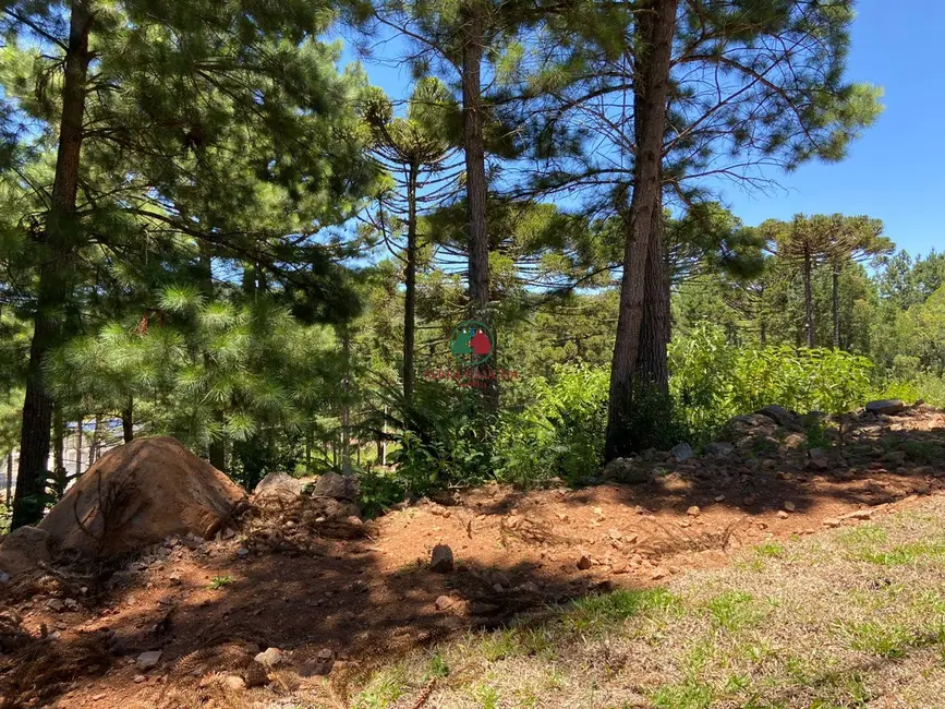 Foto 5 de Terreno / Lote à venda, 450m2 em Gramado - RS