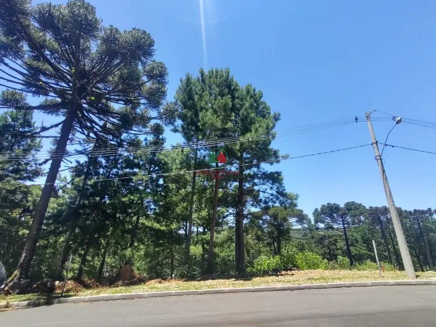 Foto 6 de Terreno / Lote à venda, 450m2 em Gramado - RS