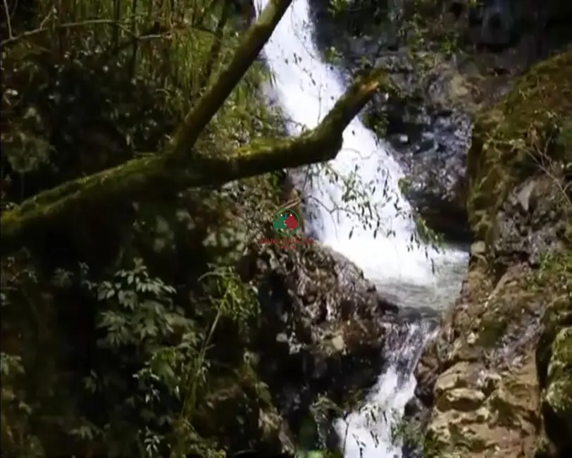 Foto 8 de Sítio / Rancho com 3 quartos à venda em Gramado - RS