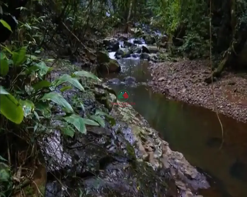 Foto 9 de Sítio / Rancho com 3 quartos à venda em Gramado - RS