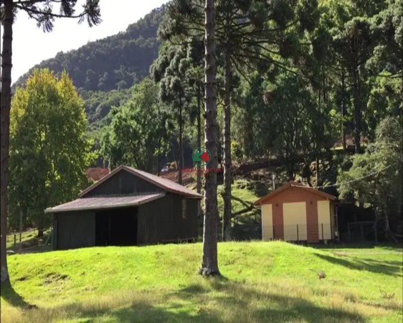 Foto 7 de Sítio / Rancho à venda, 8m2 em Gramado - RS