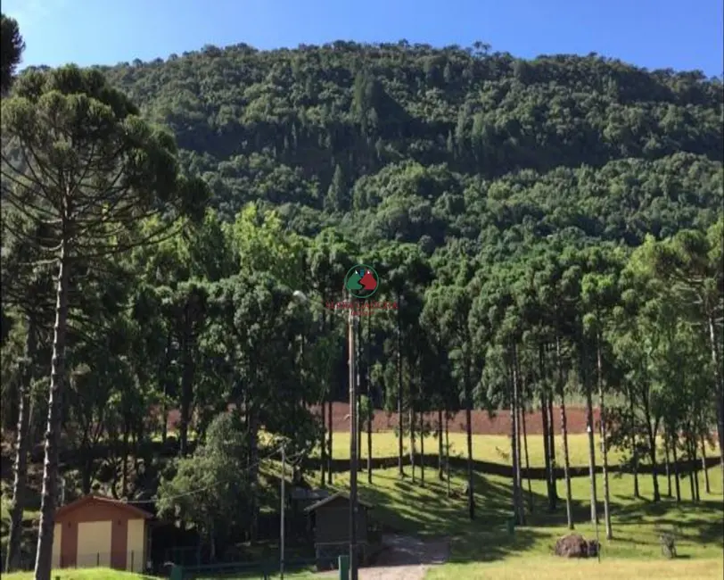 Foto 8 de Sítio / Rancho à venda, 8m2 em Gramado - RS