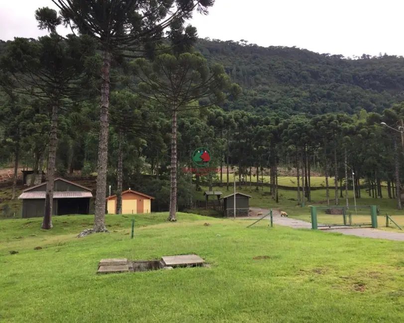 Foto 2 de Sítio / Rancho à venda, 8m2 em Gramado - RS