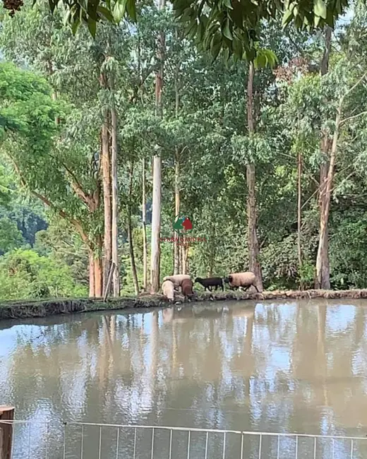 Foto 3 de Sítio / Rancho com 3 quartos à venda, 12m2 em Igrejinha - RS