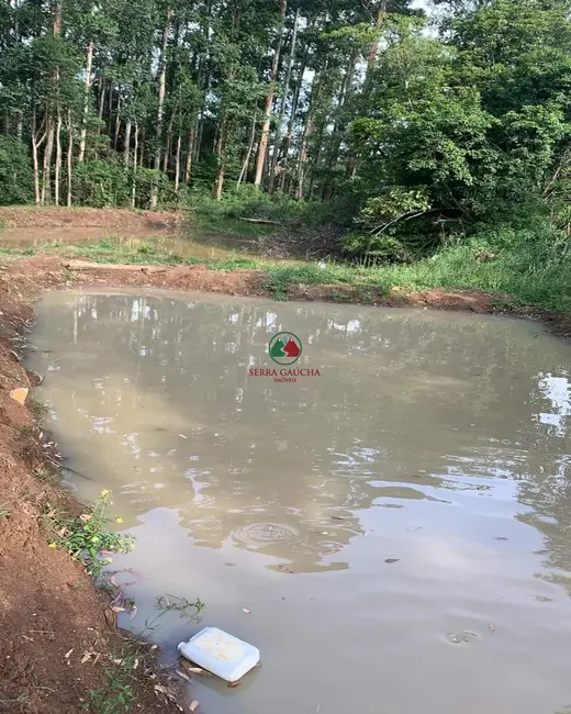 Foto 5 de Sítio / Rancho com 3 quartos à venda, 12m2 em Igrejinha - RS