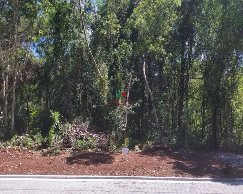 Foto 2 de Terreno / Lote à venda, 616m2 em Gramado - RS