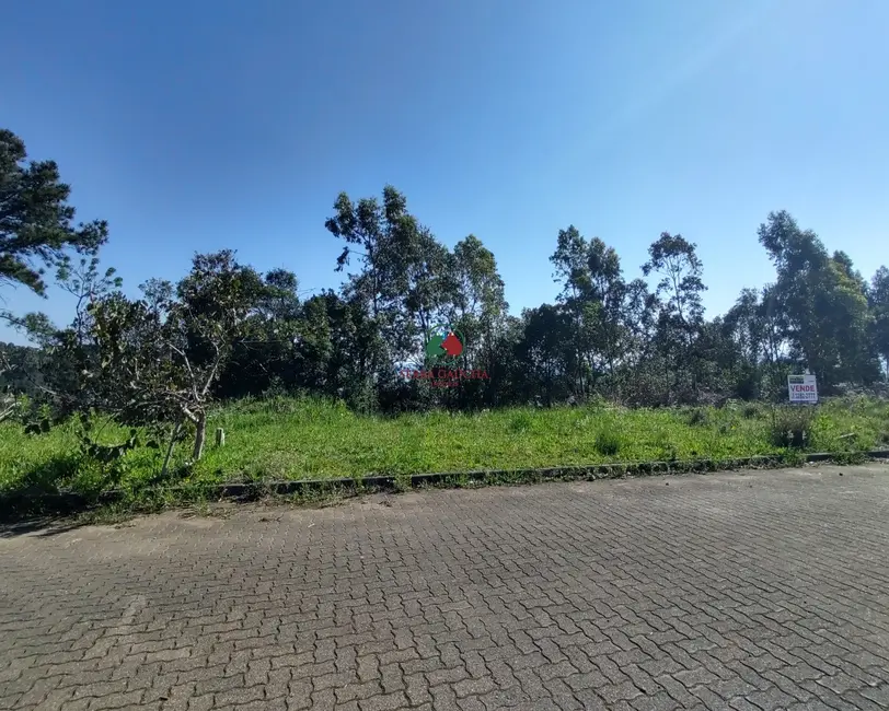 Terreno / Lote à venda, 250m2 em Canela - RS - imagem 4 Foto 4 de Terreno / Lote à venda, 250m2 em Canela - RS