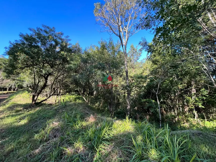 Foto 3 de Sítio / Rancho à venda em Gramado - RS