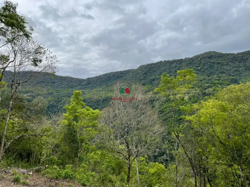 Foto 5 de Terreno / Lote à venda em Gramado - RS