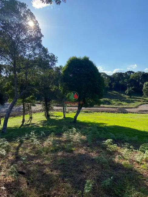 Foto 6 de Terreno / Lote à venda, 800m2 em Gramado - RS