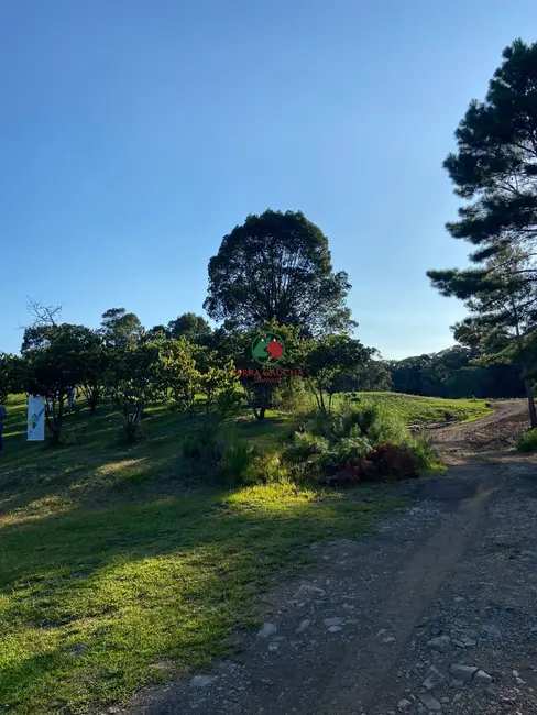 Foto 4 de Terreno / Lote à venda, 800m2 em Gramado - RS