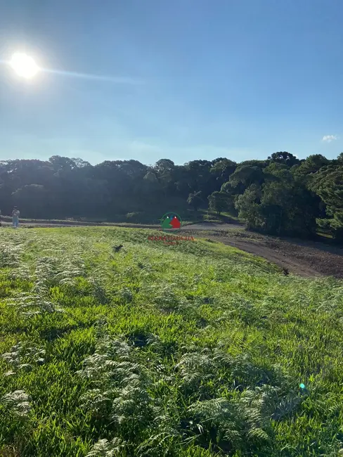 Foto 9 de Terreno / Lote à venda, 800m2 em Gramado - RS