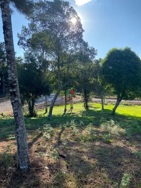 Foto 5 de Terreno / Lote à venda, 5194m2 em Gramado - RS