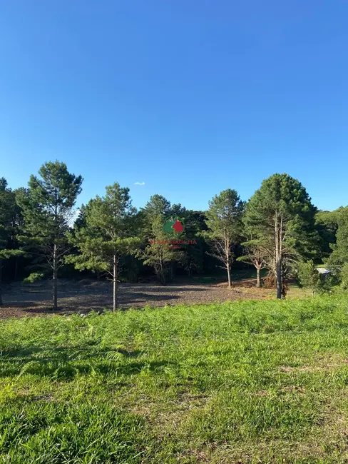 Foto 3 de Terreno / Lote à venda, 5194m2 em Gramado - RS