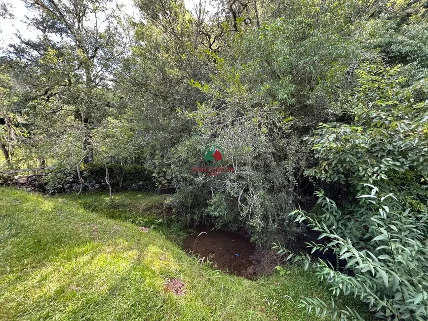 Foto 8 de Casa com 2 quartos à venda, 120m2 em Gramado - RS