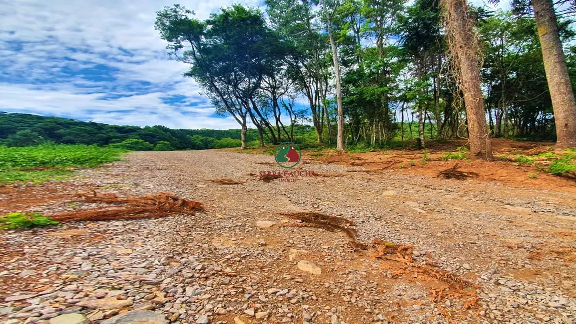 Foto 5 de Terreno / Lote à venda, 5800m2 em Gramado - RS