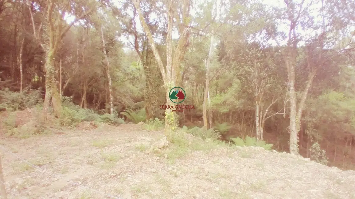 Terreno / Lote à venda, 612m2 em Canela - RS - imagem 3 Foto 3 de Terreno / Lote à venda, 612m2 em Canela - RS