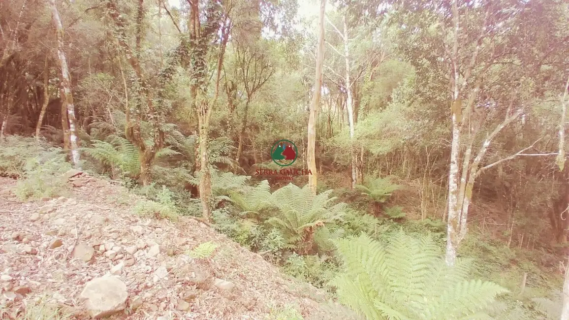 Terreno / Lote à venda, 612m2 em Canela - RS - imagem 4 Foto 4 de Terreno / Lote à venda, 612m2 em Canela - RS