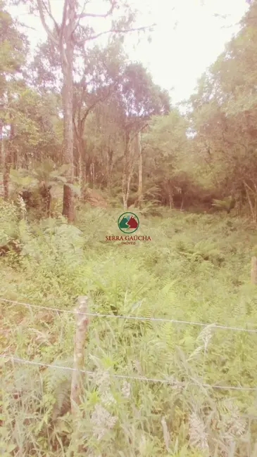 Terreno / Lote à venda, 612m2 em Canela - RS - imagem 6 Foto 6 de Terreno / Lote à venda, 612m2 em Canela - RS