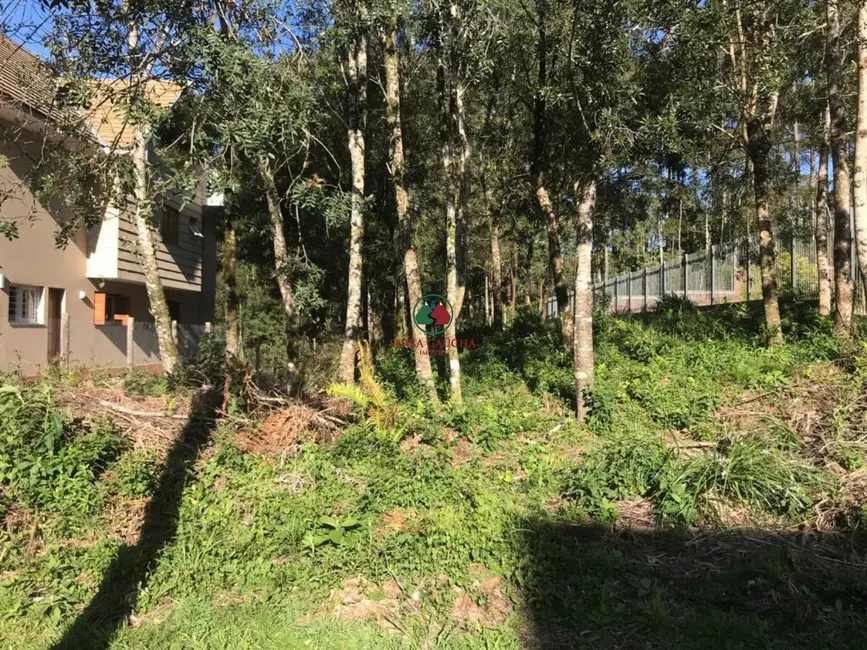 Foto 3 de Terreno / Lote à venda, 825m2 em Gramado - RS