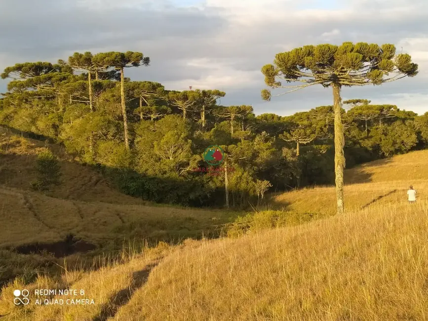 Sítio / Rancho à venda em Sao Francisco De Paula - RS - imagem 3 Foto 3 de Sítio / Rancho à venda em Sao Francisco De Paula - RS