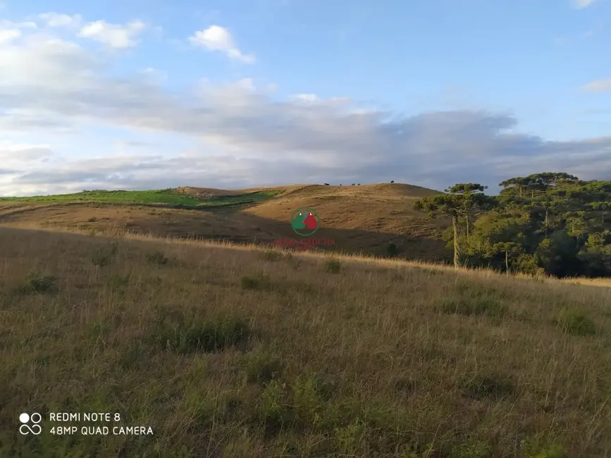 Sítio / Rancho à venda em Sao Francisco De Paula - RS - imagem 4 Foto 4 de Sítio / Rancho à venda em Sao Francisco De Paula - RS