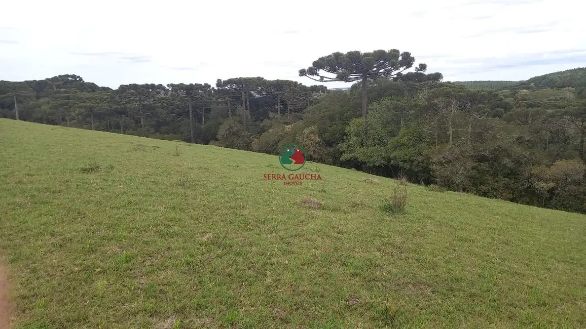 Sítio / Rancho à venda em Sao Francisco De Paula - RS - imagem 2 Foto 2 de Sítio / Rancho à venda em Sao Francisco De Paula - RS