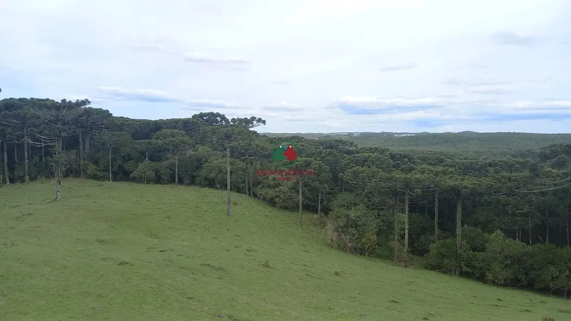 Sítio / Rancho à venda em Sao Francisco De Paula - RS - imagem 1 Foto 1 de Sítio / Rancho à venda em Sao Francisco De Paula - RS