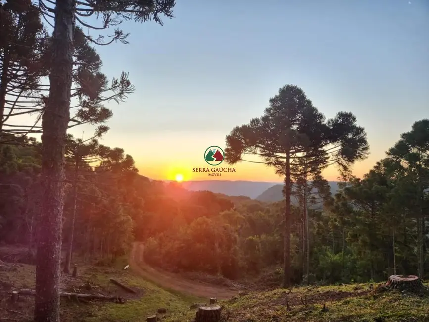 Foto 4 de Terreno / Lote à venda, 691560m2 em Gramado - RS