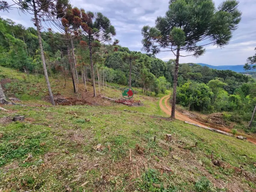 Foto 3 de Terreno / Lote à venda, 691560m2 em Gramado - RS