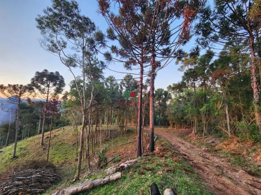 Foto 5 de Terreno / Lote à venda, 691560m2 em Gramado - RS