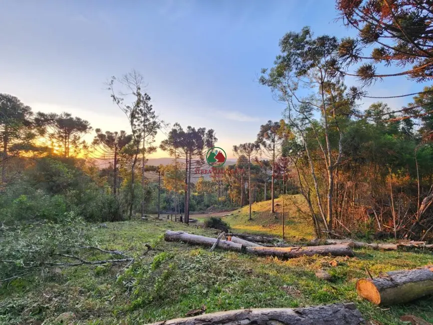 Foto 1 de Terreno / Lote à venda, 691560m2 em Gramado - RS