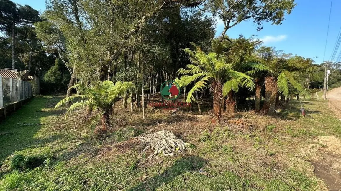 Terreno / Lote à venda, 970m2 em Canela - RS - imagem 6 Foto 6 de Terreno / Lote à venda, 970m2 em Canela - RS