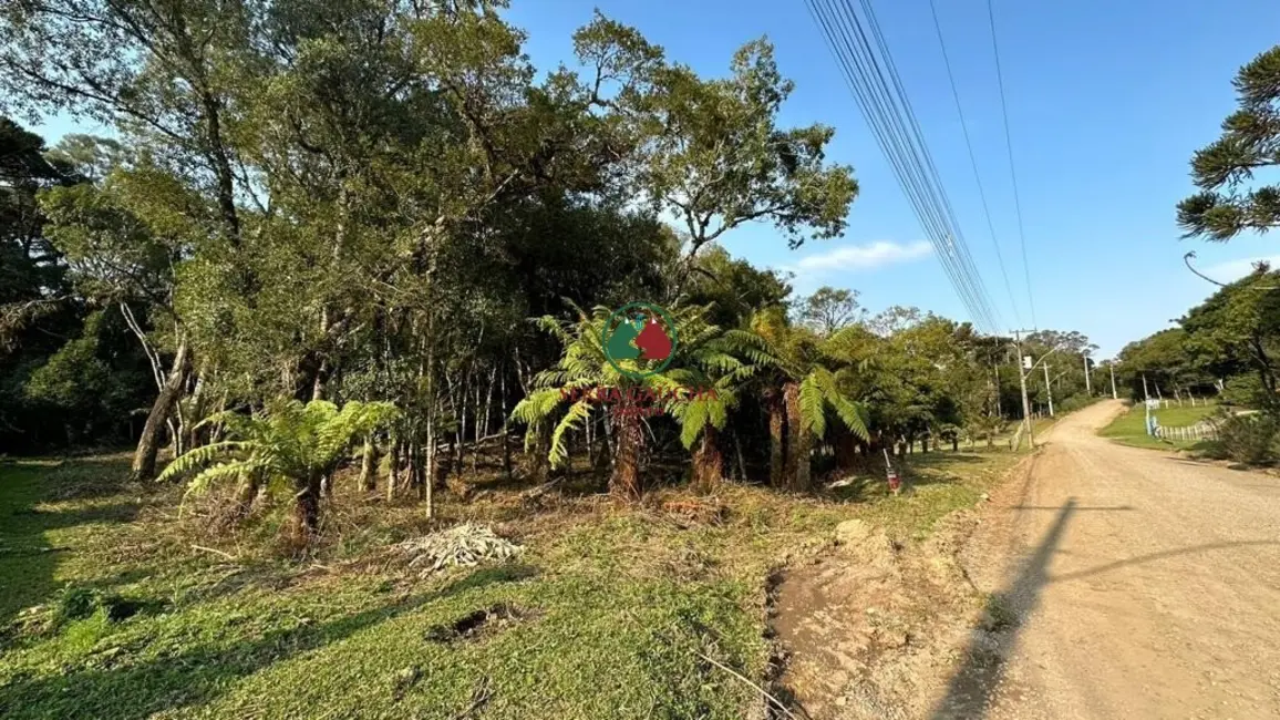 Foto 2 de Terreno / Lote à venda, 970m2 em Canela - RS