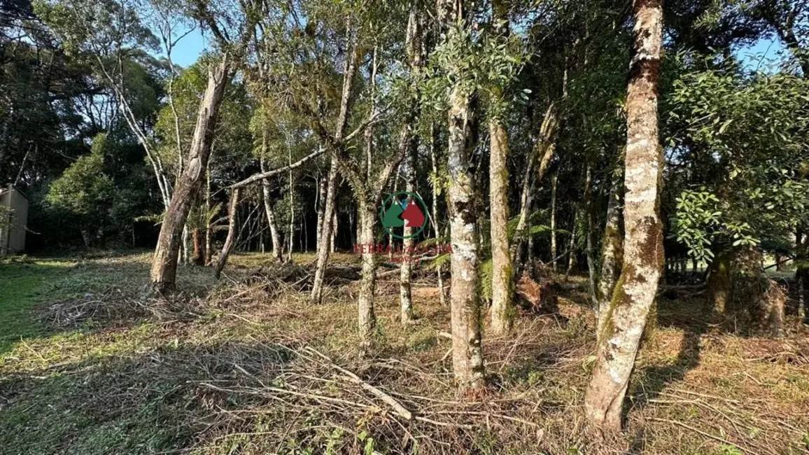 Terreno / Lote à venda, 970m2 em Canela - RS - imagem 3 Foto 3 de Terreno / Lote à venda, 970m2 em Canela - RS