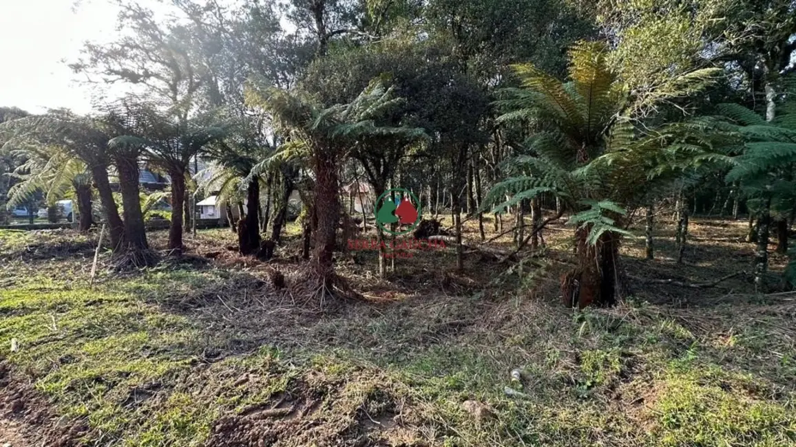 Terreno / Lote à venda, 970m2 em Canela - RS - imagem 4 Foto 4 de Terreno / Lote à venda, 970m2 em Canela - RS