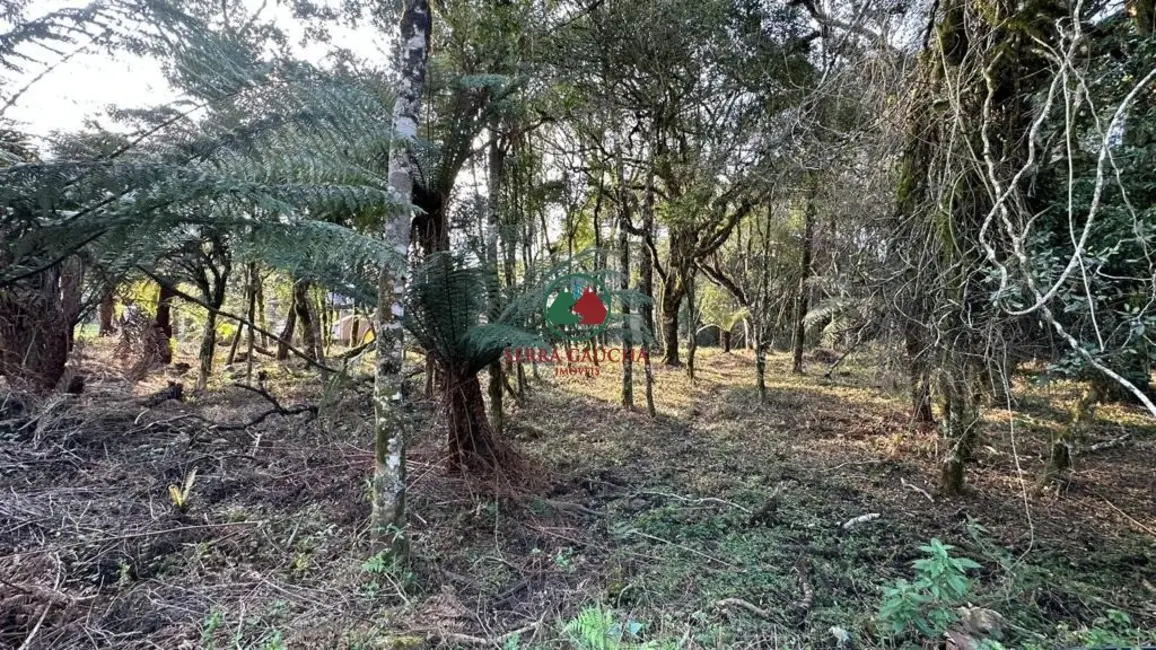 Terreno / Lote à venda, 970m2 em Canela - RS - imagem 7 Foto 7 de Terreno / Lote à venda, 970m2 em Canela - RS