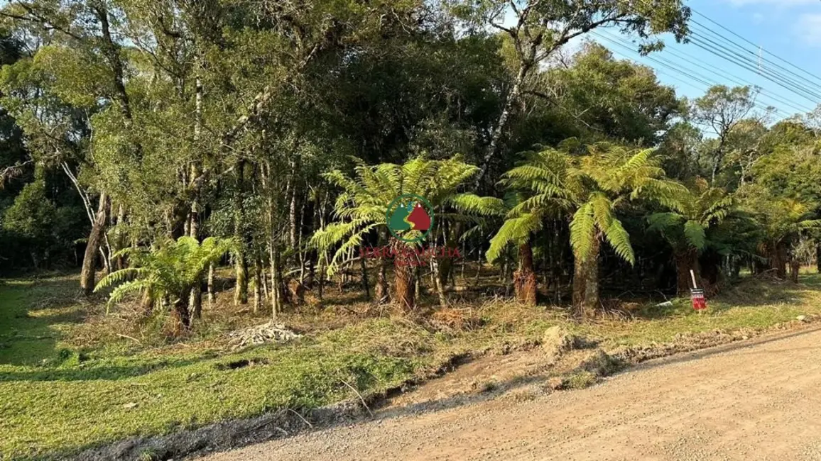 Terreno / Lote à venda, 970m2 em Canela - RS - imagem 8 Foto 8 de Terreno / Lote à venda, 970m2 em Canela - RS
