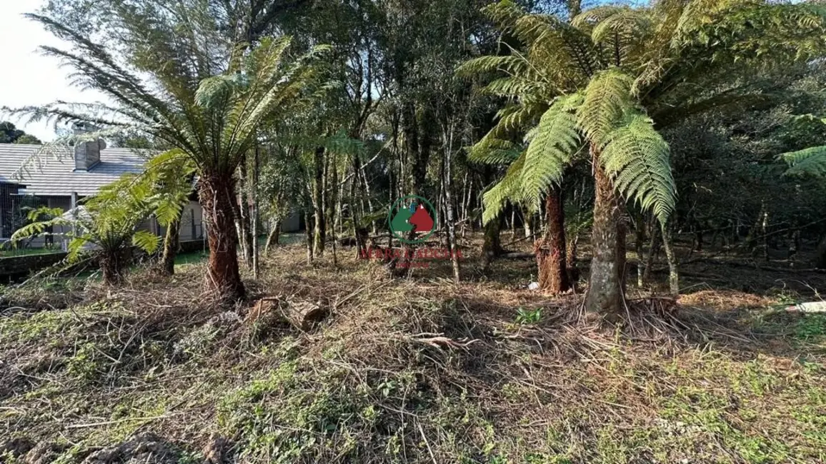 Terreno / Lote à venda, 970m2 em Canela - RS - imagem 5 Foto 5 de Terreno / Lote à venda, 970m2 em Canela - RS