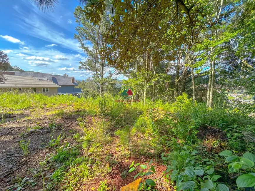 Foto 5 de Terreno / Lote à venda, 988m2 em Gramado - RS