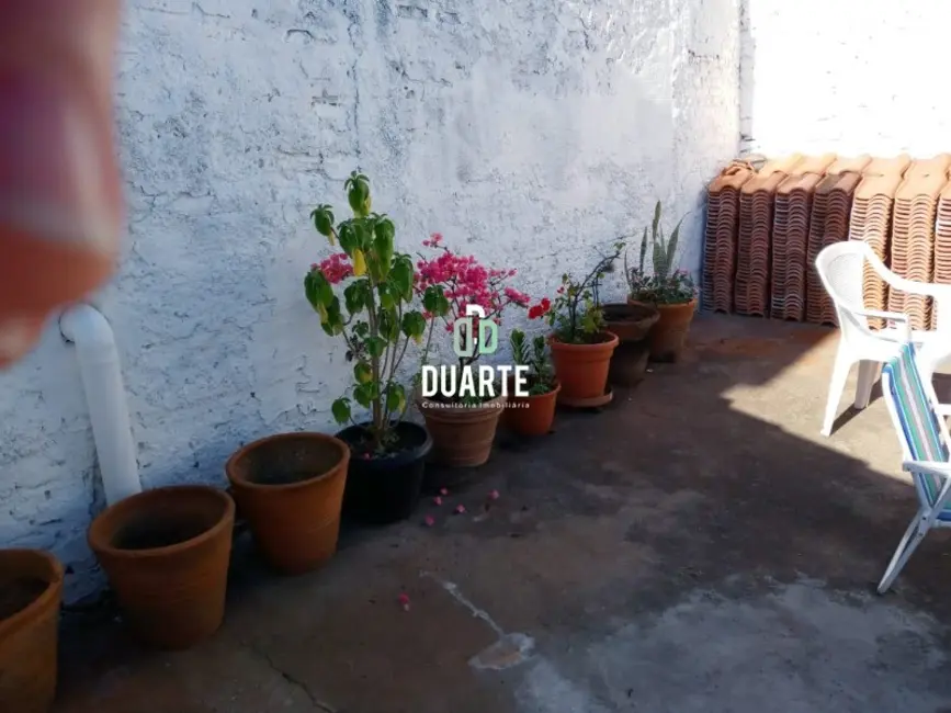 Foto 5 de Casa com 3 quartos à venda, 189m2 em Vila Ipojuca, São Paulo - SP