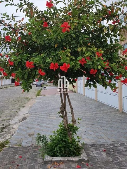Foto 7 de Casa com 3 quartos à venda, 240m2 em Parque Bitaru, Sao Vicente - SP
